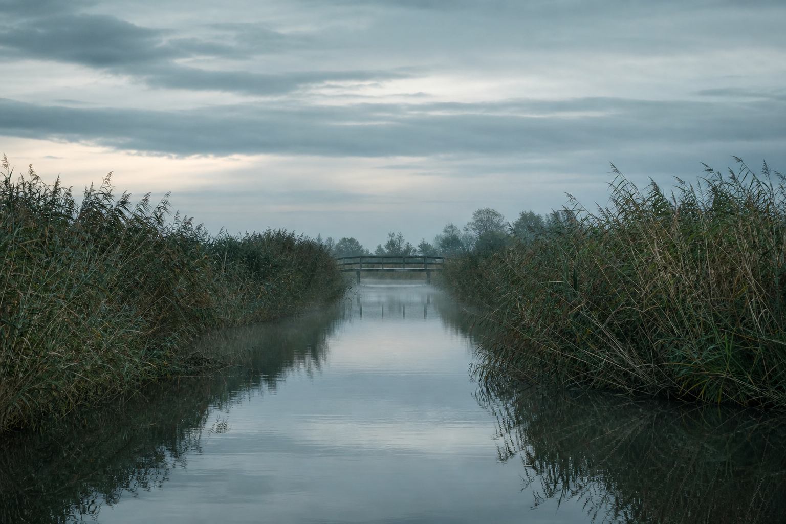 Kanal zwischen Schilfgürteln in Norddeutschland