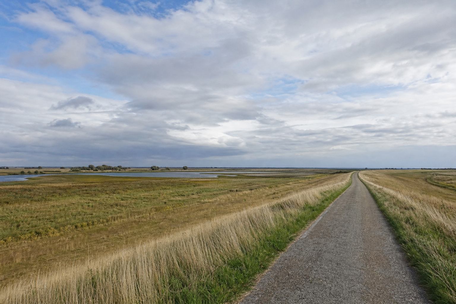 Offene Wiese und Deich unter niedrigem norddeutschen Himmel